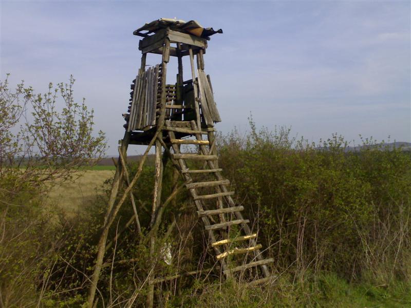 200704091812 .jpg